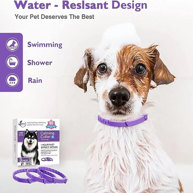 Coleira Calmante para Pets – Reduz Ansiedade por Até 30 Dias (Kit 3 ou 4 Unidades)