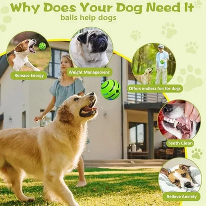 Bola Interativa Anti-Stress para Cachorro – Brinquedo estimulante