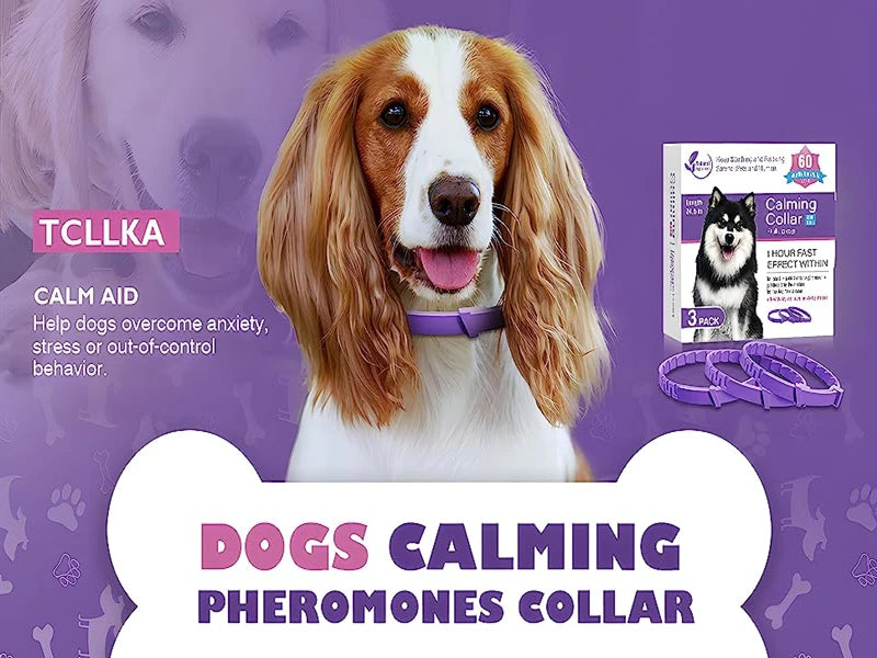 Coleira Calmante para Pets – Reduz Ansiedade por Até 30 Dias (Kit 3 ou 4 Unidades)